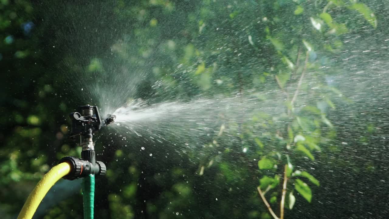 An automatic irrigation system sprays water in the yard in the summer. Caring for plants. Close-up.
