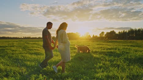 pregnant couple walking in a field at sunset with a dog