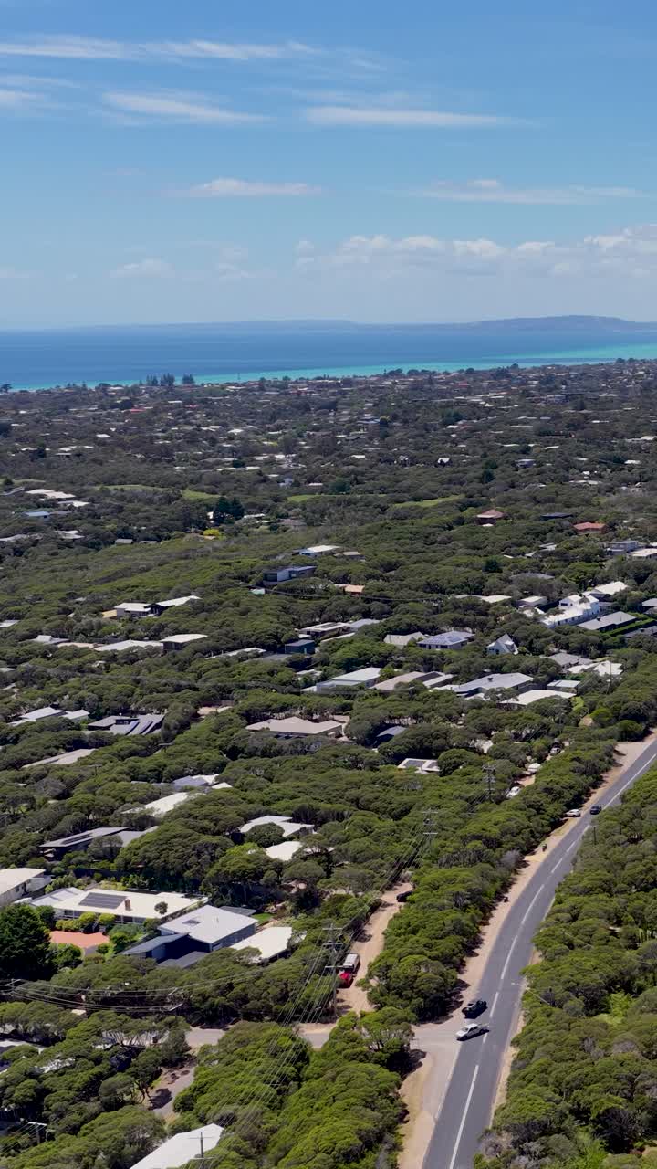Una ripresa con drone dall'alto cattura una strada tortuosa attraverso una vegetazione lussureggiante verso l'oceano blu.