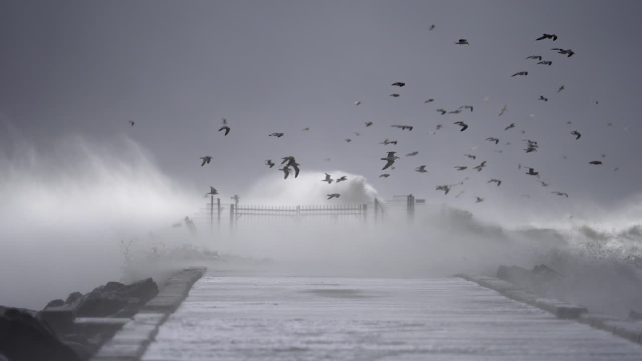 Powerful Storm at the Pier with Gulls