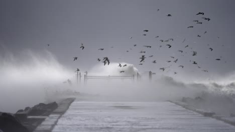 powerful storm at the pier with gulls