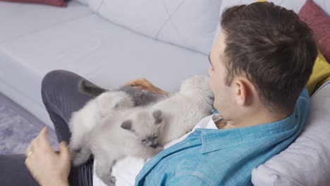 cute kittens.