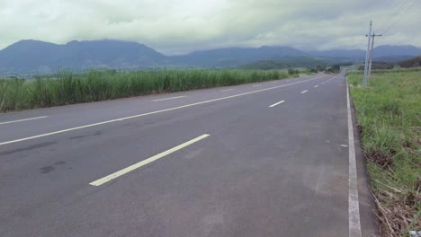 una toma estacionaria de una carretera vacía, rodeada de hierba alta