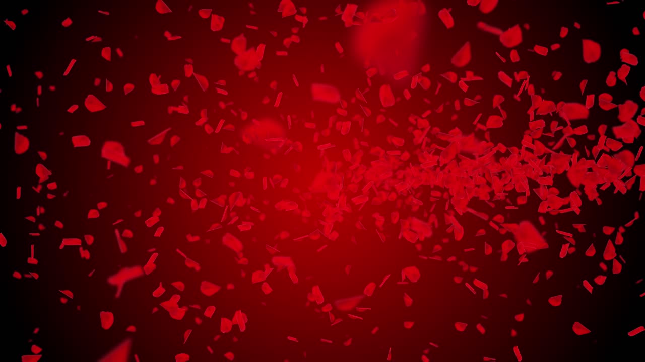 빨간 장미 꽃잎이 떨어지는 것