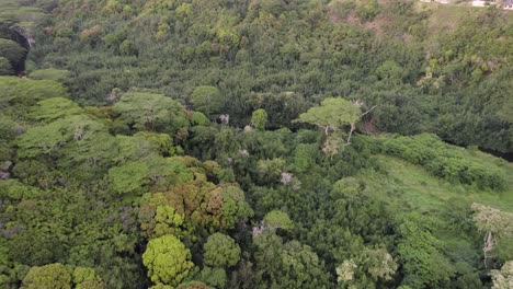 Dramatic-aerial-footage-of-famous-Wailua-River-durig-sunset