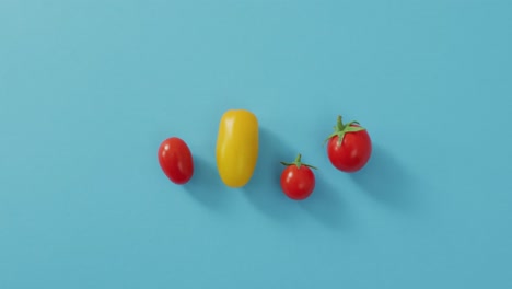 video of four fresh cherry and yellow tomatoes with copy space on blue background