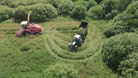 forage harvester is going to mow fresh green grass in the tractor trailer