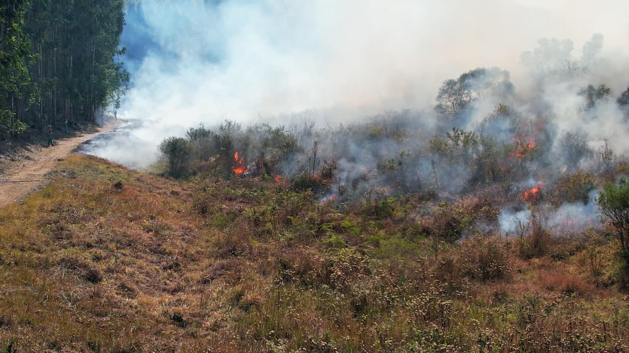Firefighter's prescribed burn creates fire break to control forest fire
