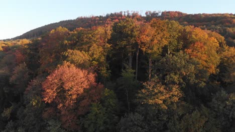 Aerial-view-of-an-old-football-field-in-a-forest-in-beautiful-fall-colors