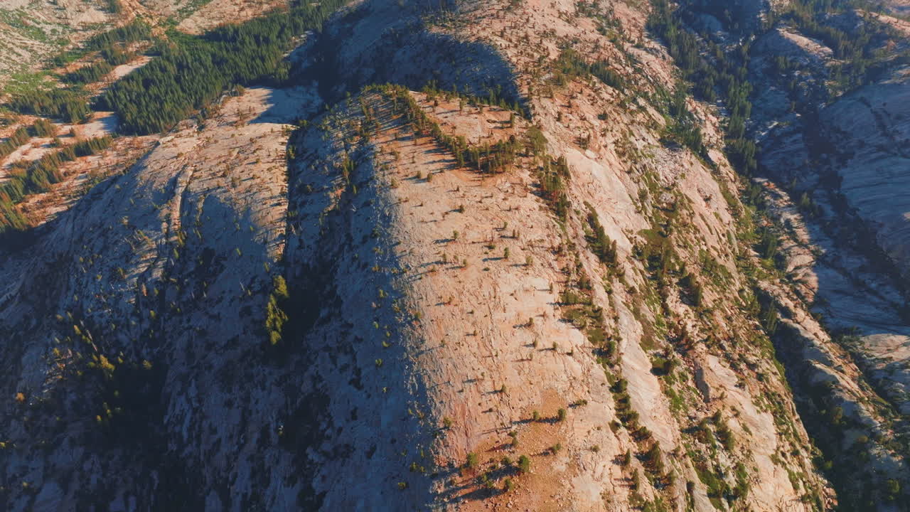 Bare grey rocks with scarce pine tree forest growing on. Stunning mountains of Yosemite, California, USA from top view.