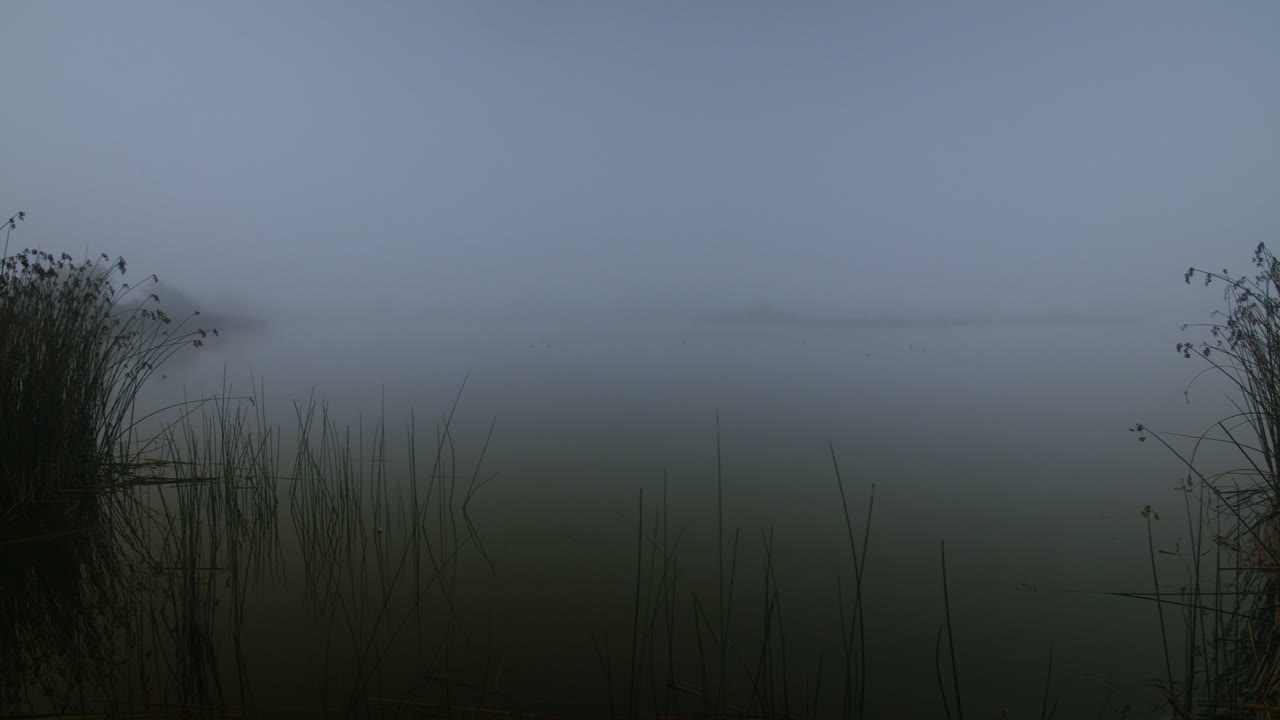 Foggy lake landscape