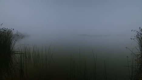 Foggy lake landscape