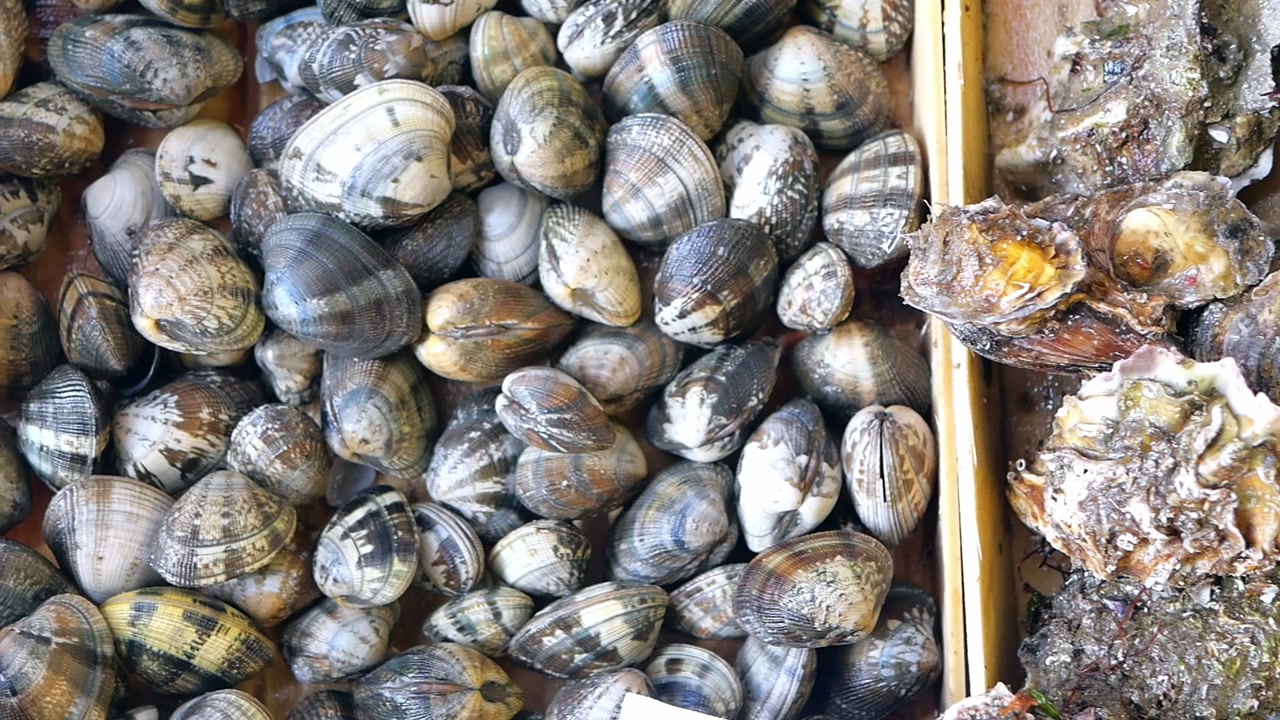 Fresh Clams and Oysters Displayed in a Seafood Market