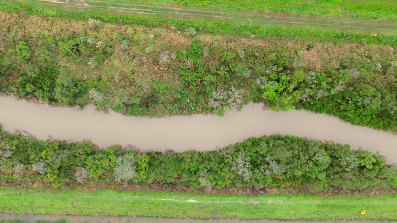 Directly overhead drone shot showing the muddy, winding path of a canal bordered by dense, varied green vegetation in Argentina