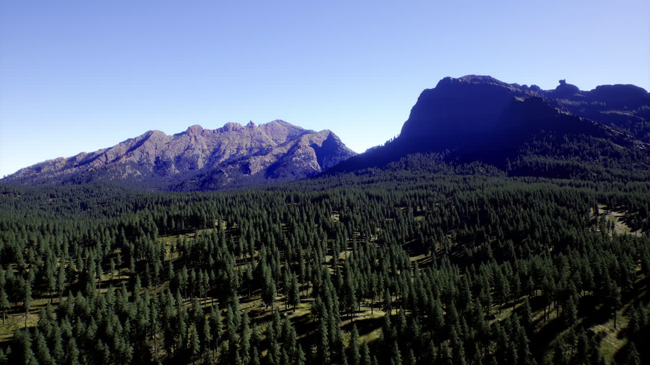Majestic mountains rise above a sea of evergreen trees in tranquil wilderness