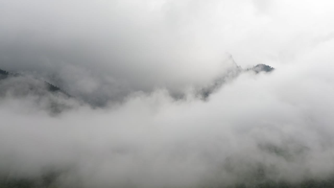 Misty Mountain Forest Landscape with Rolling Clouds