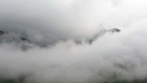 misty mountain forest landscape with rolling clouds