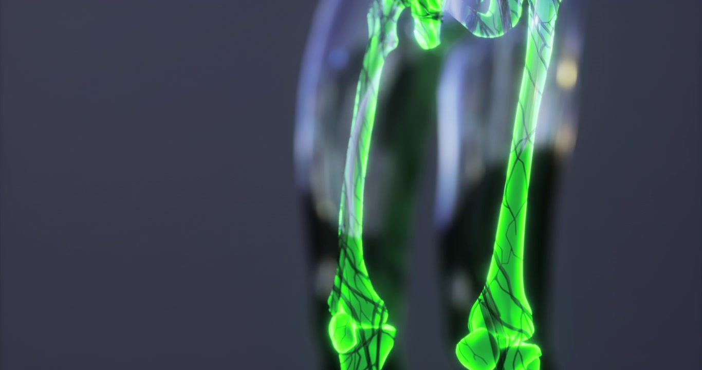 Detailed visualization of human skeletal anatomy highlighting the knee joint