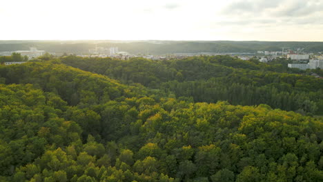 Hermoso-Paisaje-Polaco-De-Gdynia-Durante-La-Fantástica-Puesta-De-Sol-Sobre-Las-Copas-De-Los-árboles-Aéreos-De-Drones