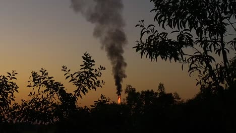 Flame-raging-above-the-forest