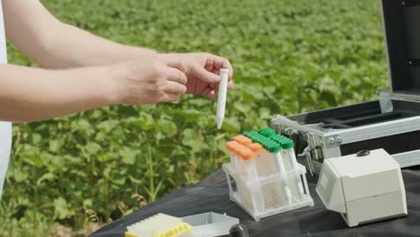 laboratory assistant conducting research on plants in the field