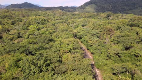 Mountain-bike-cyclist-on-the-way-to-the-jungle