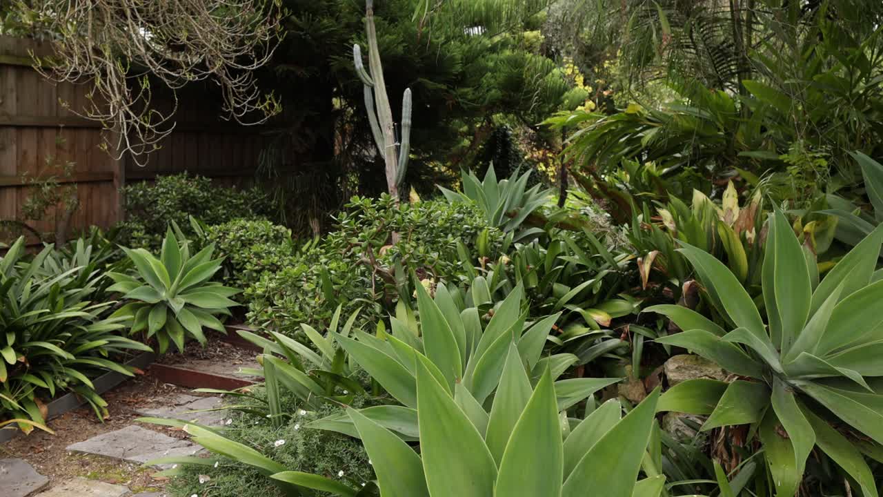 un paseo tranquilo a través de la vegetación exuberante