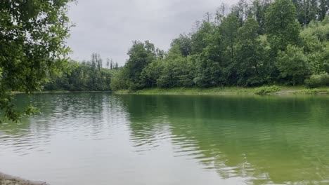 Pequeño-Lago-Con-árboles-En-El-Borde