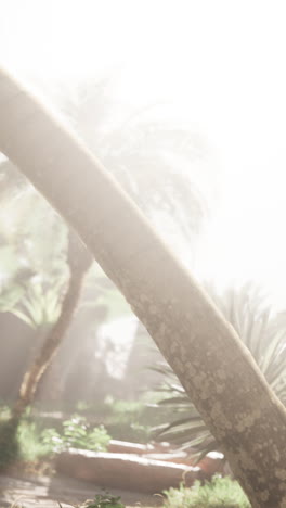 sunlit tree trunk in a lush tropical forest