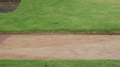 side view man with prosthetic leg running