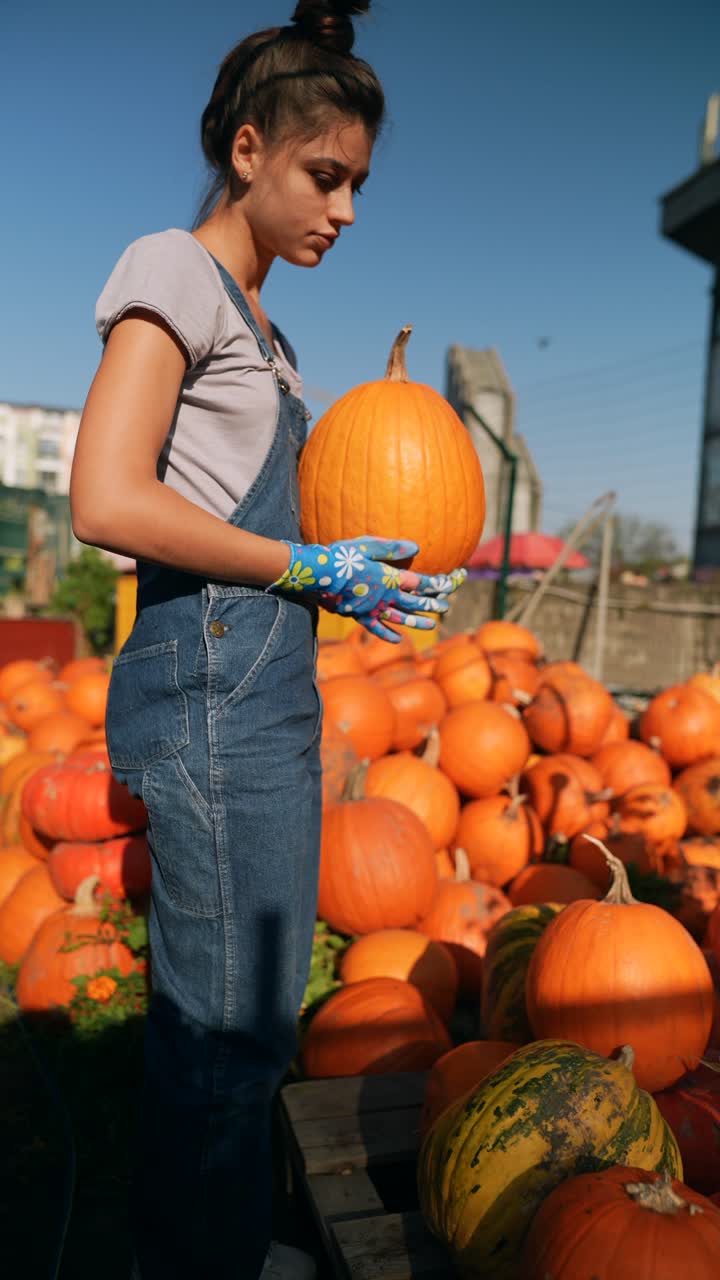 농장 에서 호박 을 수확 하는 여자