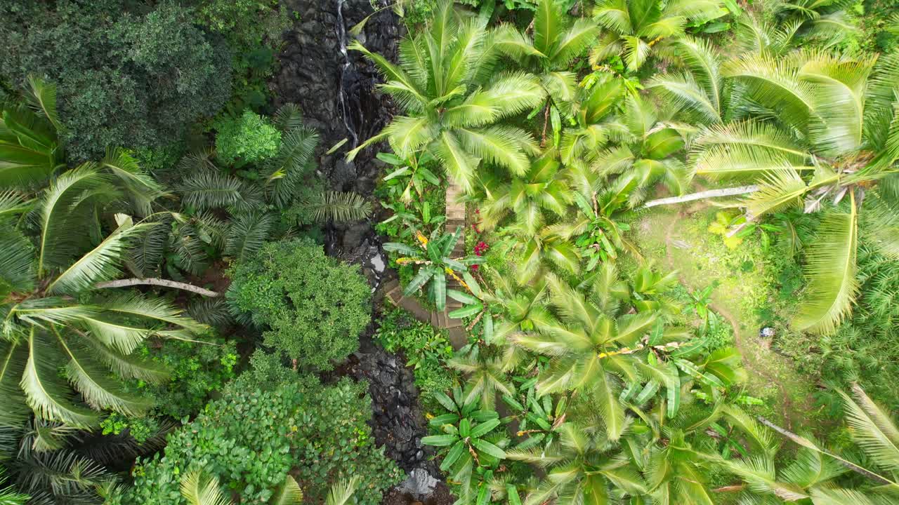 catarata gembleng en el pueblo de sidemen - vuelo aéreo de arriba hacia abajo a lo largo de la selva arroyo de montaña y camino de escalera por arroyo a través de la densa naturaleza tropical y palmeras en bali indonesia