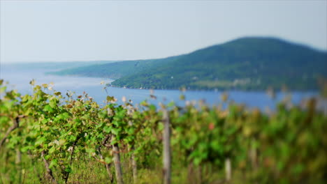 this is a time lapse of canandaigua lake shot with a tilt-shift lens to add a different perspective