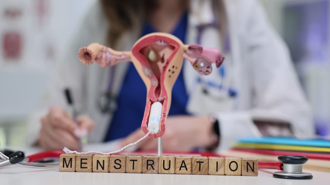 Menstruation and Female Anatomy