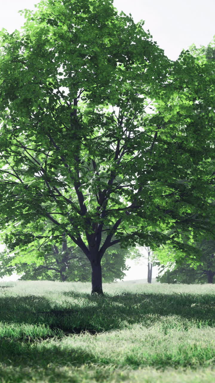 Lush green landscape with vibrant trees and grass on a sunny day