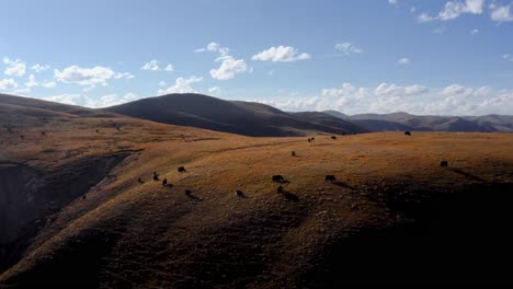 scenic rolling hills of tagong grasslands of tibetan sichuan western china