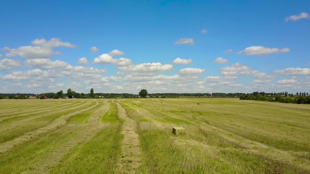 Tractor Collecting Straw Bales. Huge tractor collecting haystack in the field at nice blue sunny day