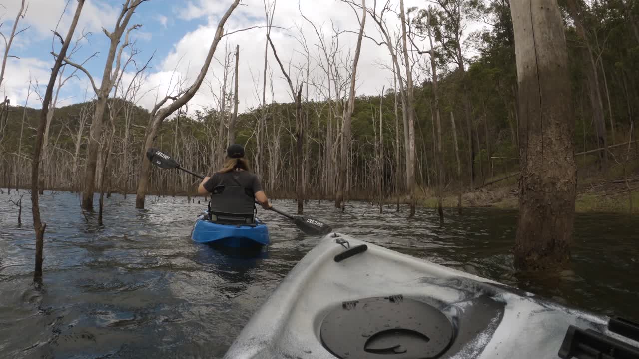 First persons view of a couple kayaking between dead trees in an old flooded forest
