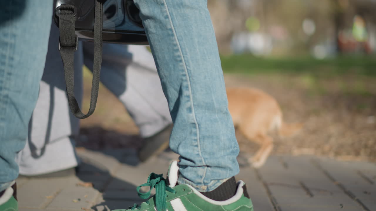 도시 포장도로 위에 놓인 목줄을 한 강아지와 운동화, 햇빛이 비치는 거리 풍경에 작은 강아지와 데님 옷을 입은 보행자가 있고, 캐주얼하게 산책하는 치와와와 주인이 함께 있는 편안한 도시 환경
