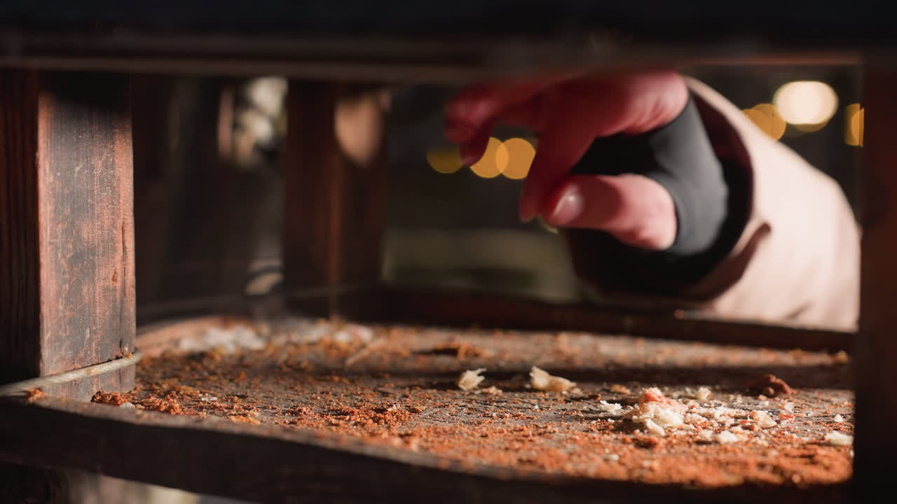 Primo piano della mano di una persona che lascia cadere mangime per uccelli all'interno di una casetta su una base di legno, nutrendo i piccioni in un parco invernale, cura della fauna selvatica all'aperto, accudimento di animali con effetti di luce bokeh.