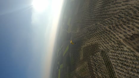 formato vertical: círculos aéreos parapente volando sobre olivares