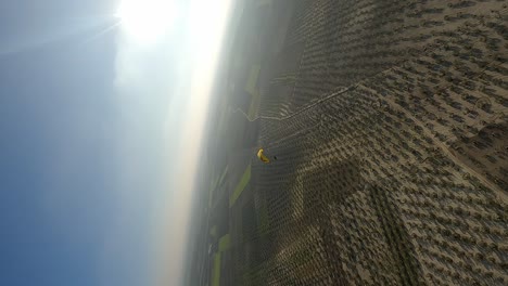 vertical format: aerial circles paraglider flying over olive groves