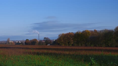 a wild meadow with a forest behind and on the horizon a working chimney in the blue sky