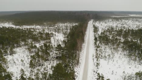 Vista-Aérea-Del-Bosque-De-Pinos-Durante-El-Invierno