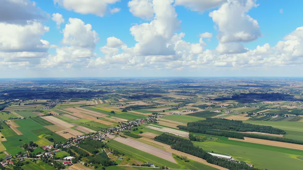 Bird's eye view of agricultural area and green wavy fields in sunny day