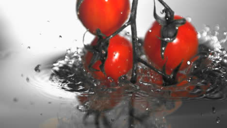 vine tomatoes falling in water