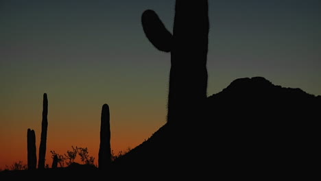 una escena del desierto al atardecer se enfoca gradualmente