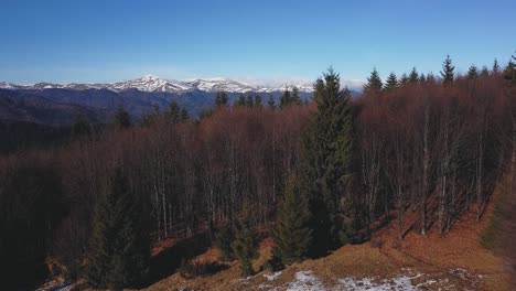 Picos-De-Montaña-Revelados-Desde-Más-Allá-De-Un-Bosque-Caducifolio