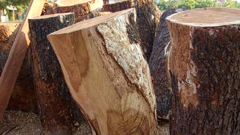 logs are cut to make drums.