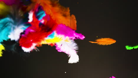 colorful bunch of feathers floating and falling in slow motion